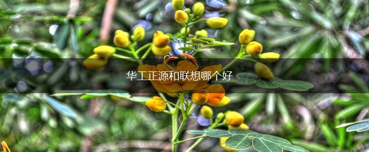 华工正源和联想哪个好,第1张