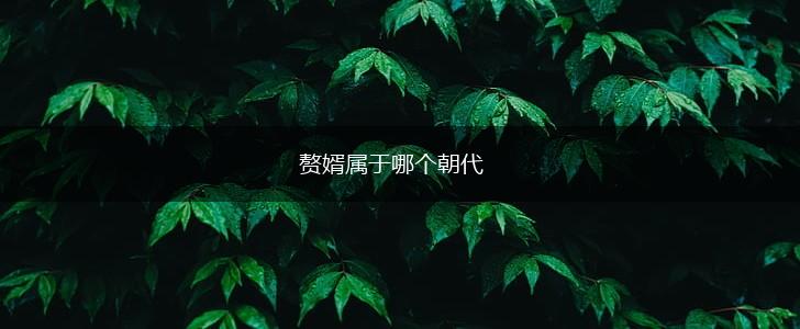 赘婿属于哪个朝代,第1张