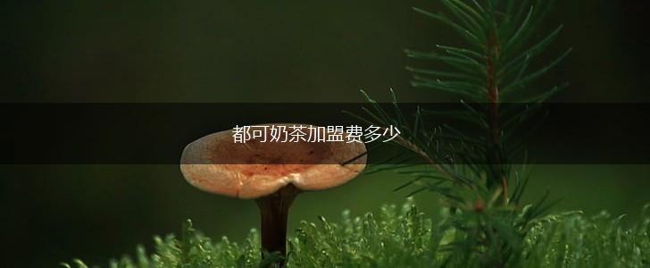 都可奶茶加盟费多少,第1张