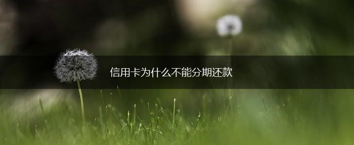 信用卡为什么不能分期还款,第1张