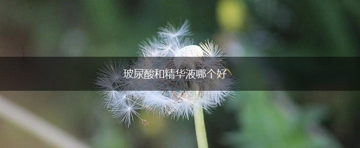 玻尿酸和精华液哪个好,第1张