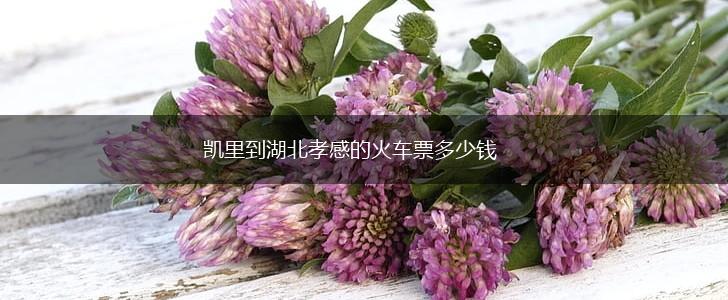 凯里到湖北孝感的火车票多少钱,第1张