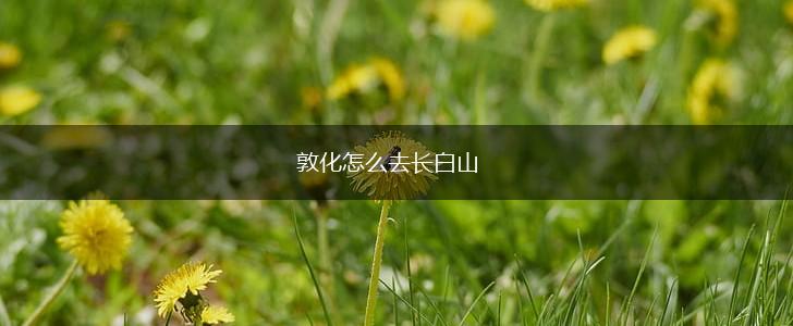 敦化怎么去长白山,第1张