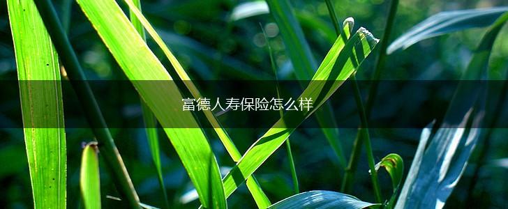 富德人寿保险怎么样,第1张
