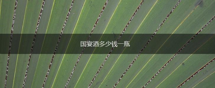 国宴酒多少钱一瓶,第1张
