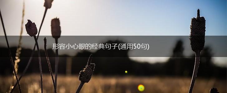 形容小心眼的经典句子(通用50句),第1张