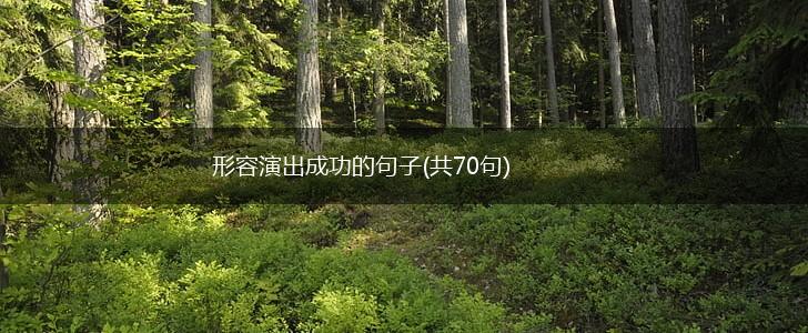 形容演出成功的句子(共70句),第1张