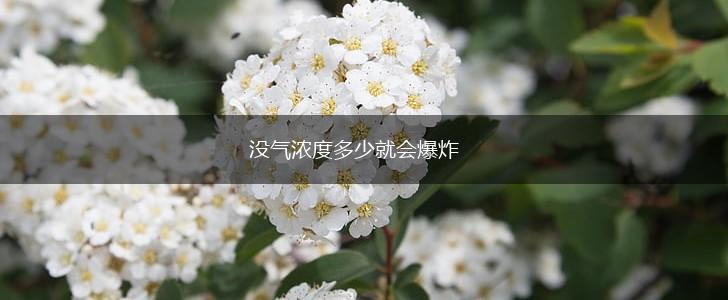 没气浓度多少就会爆炸,第1张