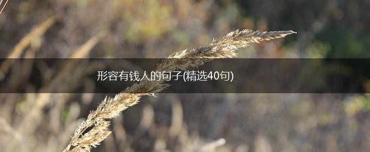 形容有钱人的句子(精选40句),第1张