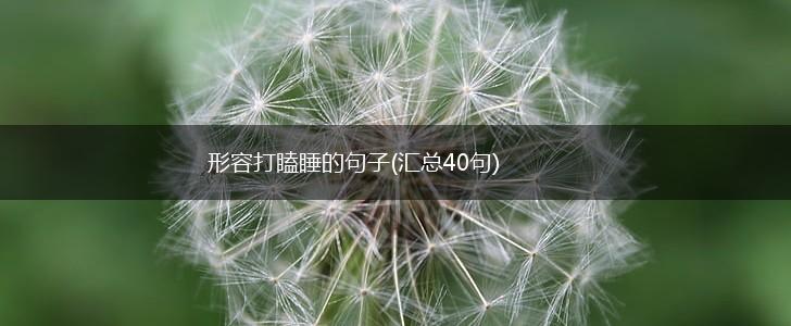 形容打瞌睡的句子(汇总40句),第1张