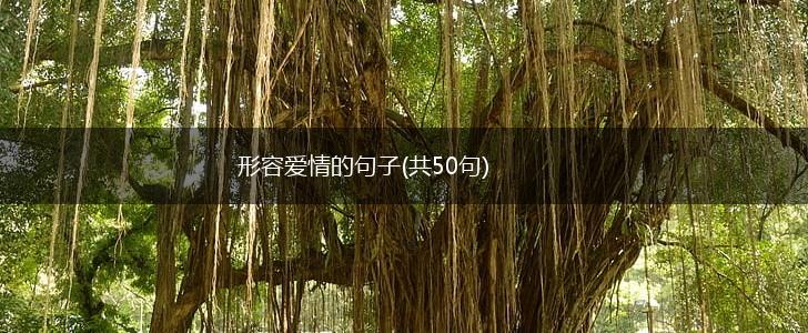 形容爱情的句子(共50句),第1张