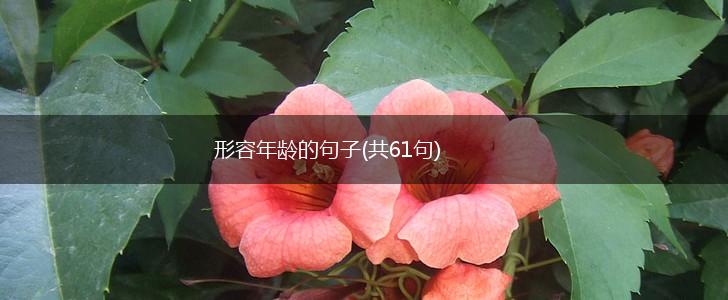 形容年龄的句子(共61句),第1张