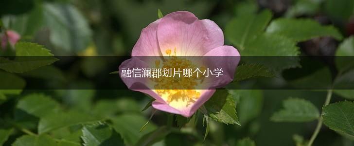 融信澜郡划片哪个小学,第1张