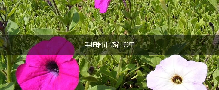 二手旧料市场在哪里,第1张