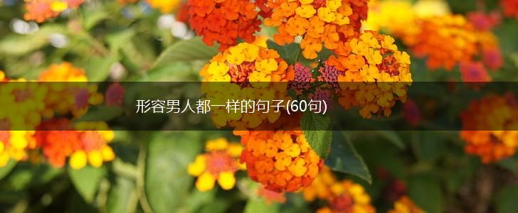 形容男人都一样的句子(60句),第1张