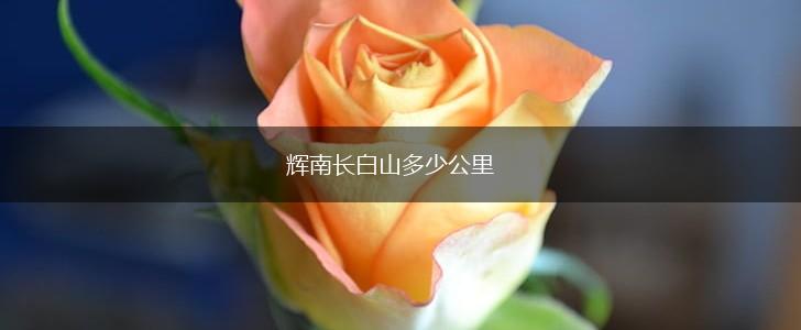 辉南长白山多少公里,第1张