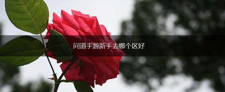 问道手游新手去哪个区好,第1张