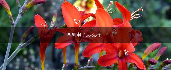 四创电子怎么样,第1张