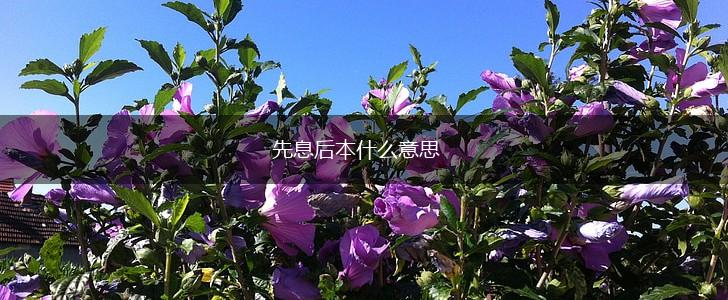 先息后本什么意思,第1张