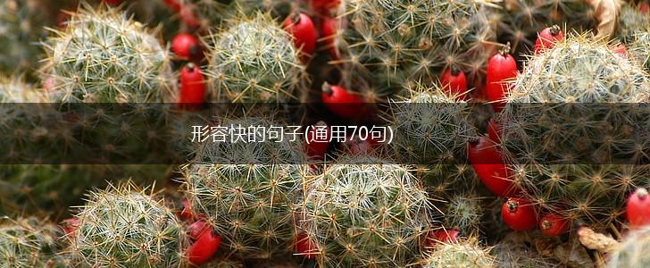 形容快的句子(通用70句),第1张