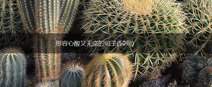 形容心酸又无奈的句子(50句),第1张