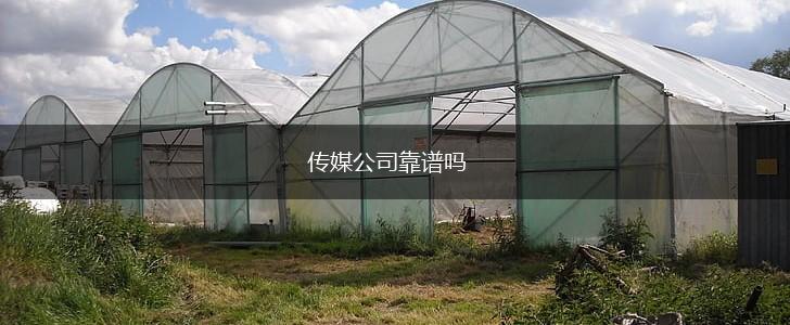 传媒公司靠谱吗,第1张