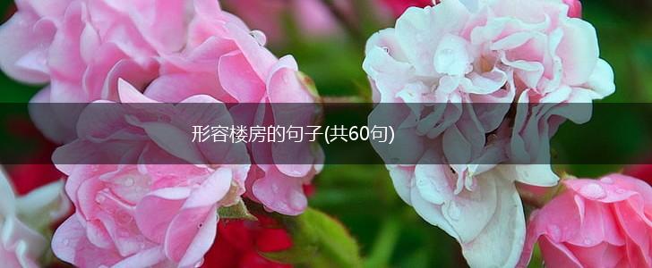 形容楼房的句子(共60句),第1张