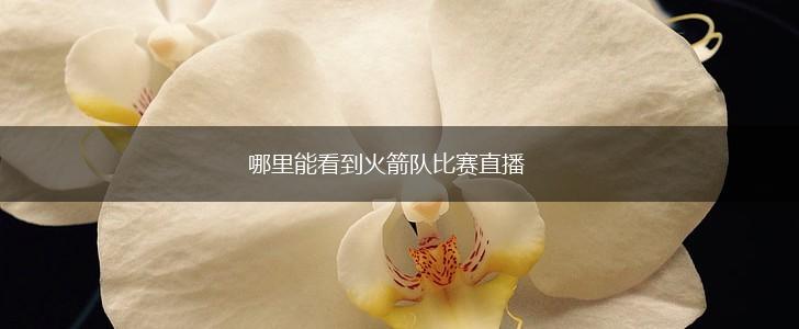 哪里能看到火箭队比赛直播,第1张