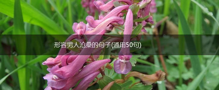 形容男人沧桑的句子(通用50句),第1张