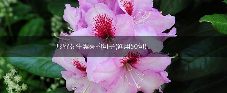 形容女生漂亮的句子(通用50句),第1张