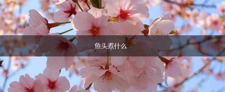 鱼头煮什么,第1张