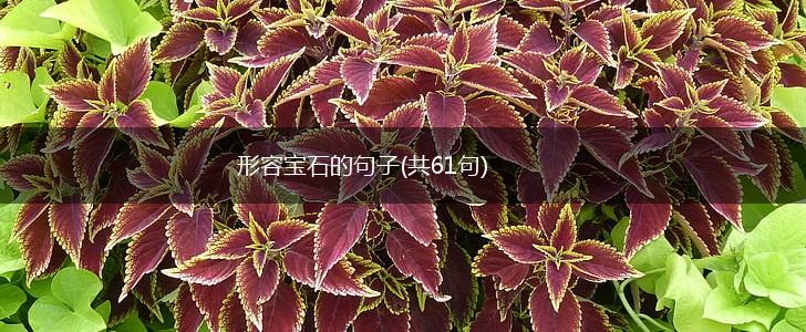 形容宝石的句子(共61句),第1张
