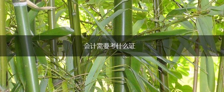 会计需要考什么证,第1张