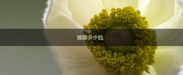 镀膜多少钱,第1张