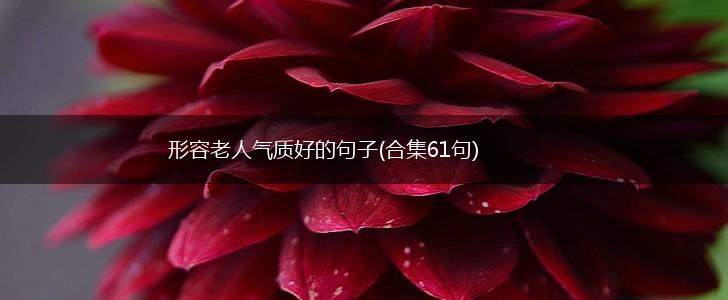 形容老人气质好的句子(合集61句),第1张