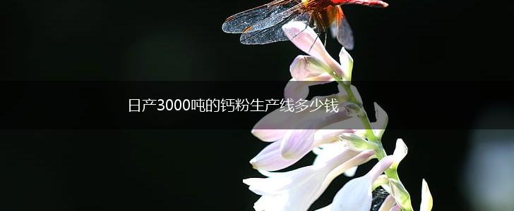 日产3000吨的钙粉生产线多少钱,第1张
