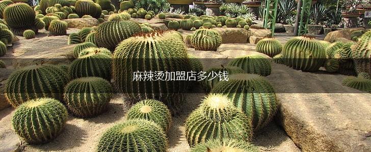 麻辣烫加盟店多少钱,第1张