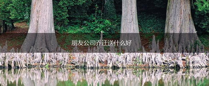 朋友公司乔迁送什么好,第1张