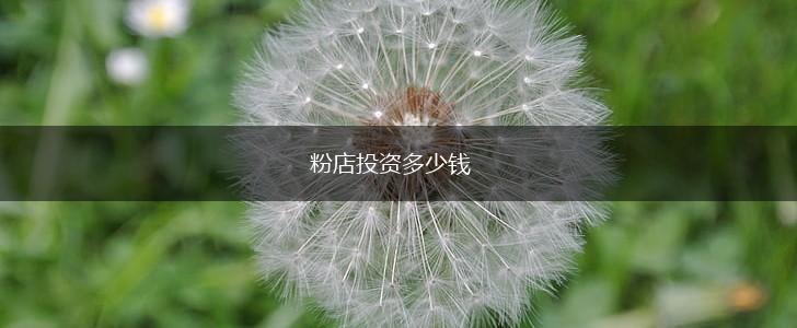 粉店投资多少钱,第1张
