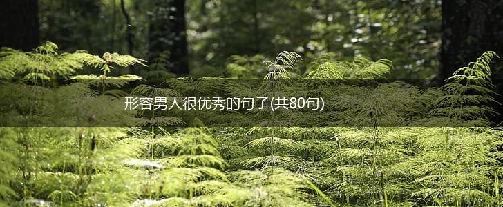 形容男人很优秀的句子(共80句),第1张