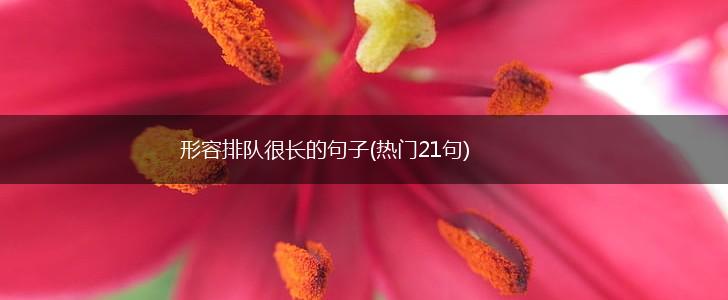 形容排队很长的句子(热门21句),第1张