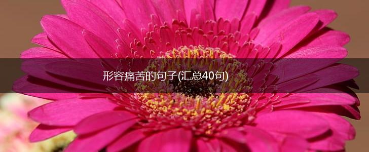 形容痛苦的句子(汇总40句),第1张
