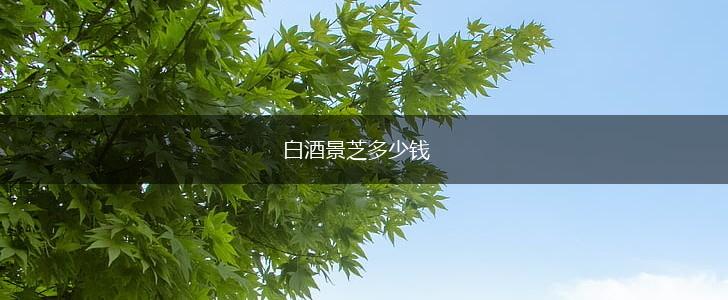 白酒景芝多少钱,第1张
