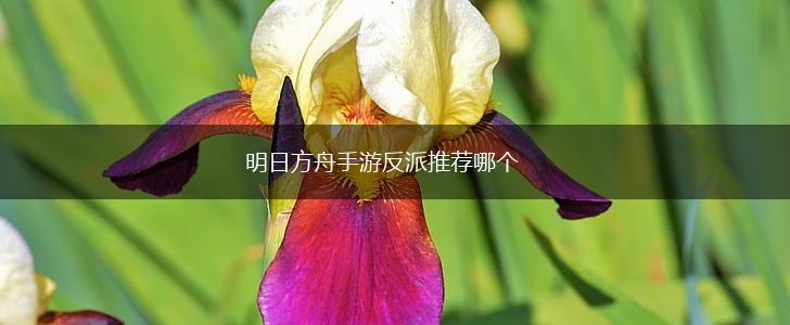 明日方舟手游反派推荐哪个,第1张