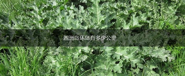 涠洲岛环岛有多少公里,第1张