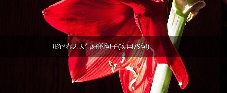 形容春天天气好的句子(实用79句),第1张