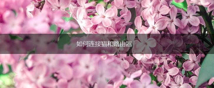 如何连接猫和路由器,第1张