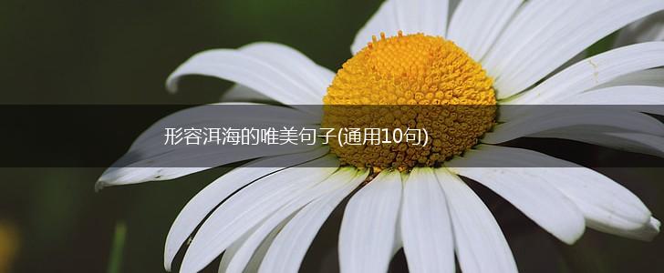 形容洱海的唯美句子(通用10句),第1张