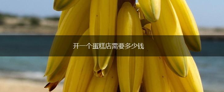 开一个蛋糕店需要多少钱,第1张