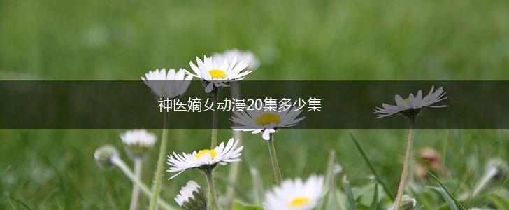 神医嫡女动漫20集多少集,第1张